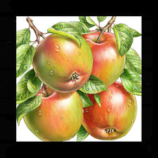 Схема вышивки «Яблочки»