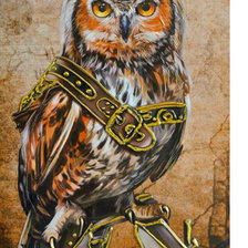 Схема вышивки «Сова»