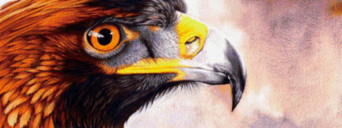Орел худ. P. Williams - птицы - предпросмотр