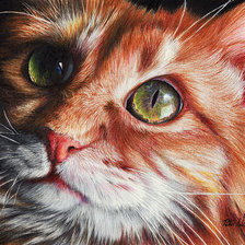 Кошка худ. P. Williams