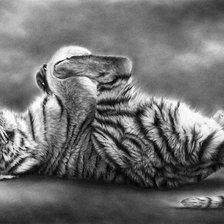 Тигренок худ. P. Williams