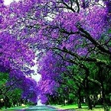 Схема вышивки «532»