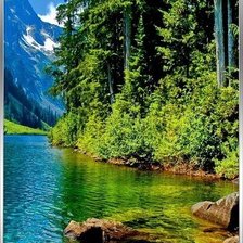 Схема вышивки «533»