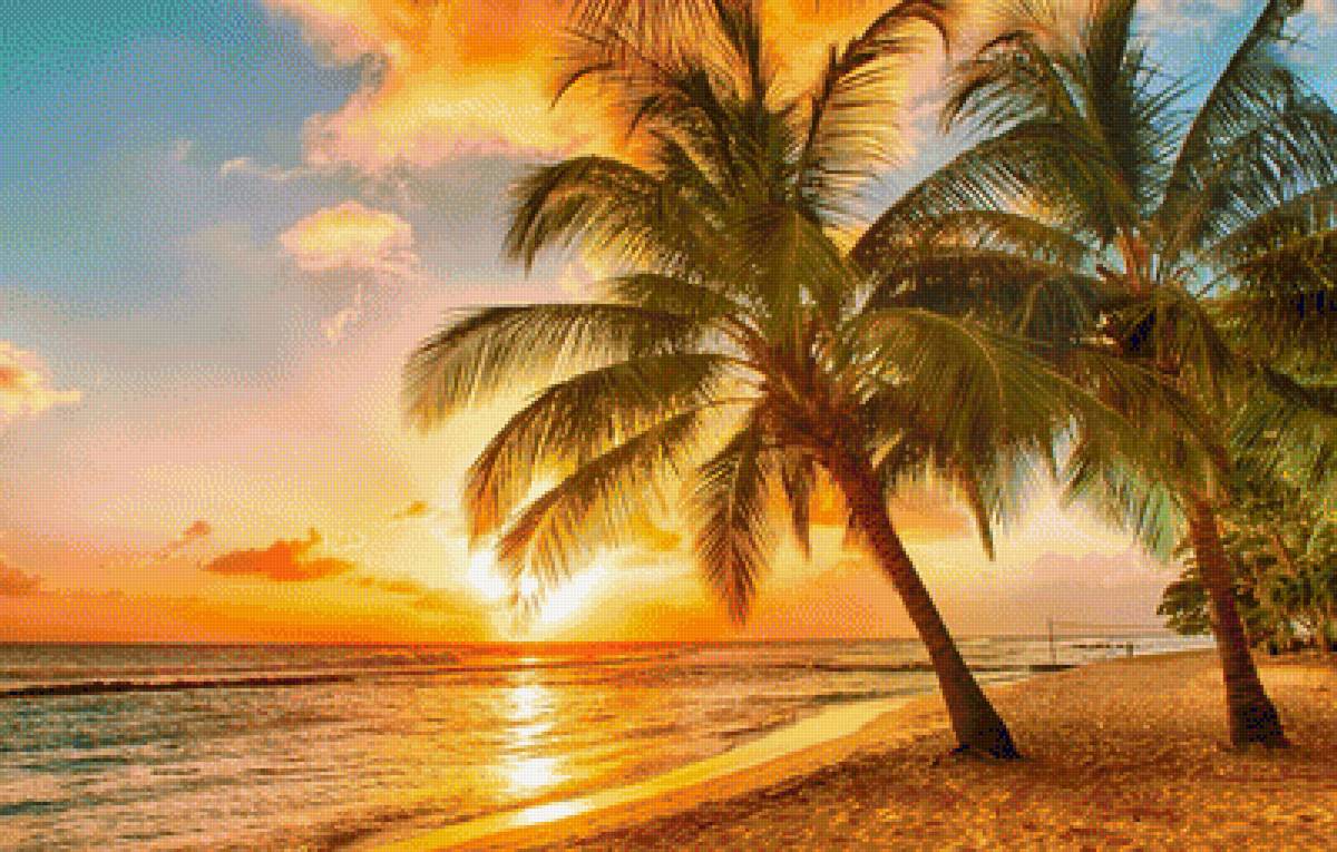 №1952074 - пляж, пальмы, море, закат - предпросмотр