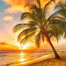 Схема вышивки «№1952074»