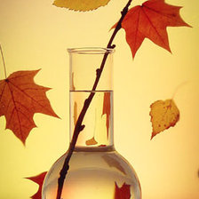 Схема вышивки «Натюрморт»