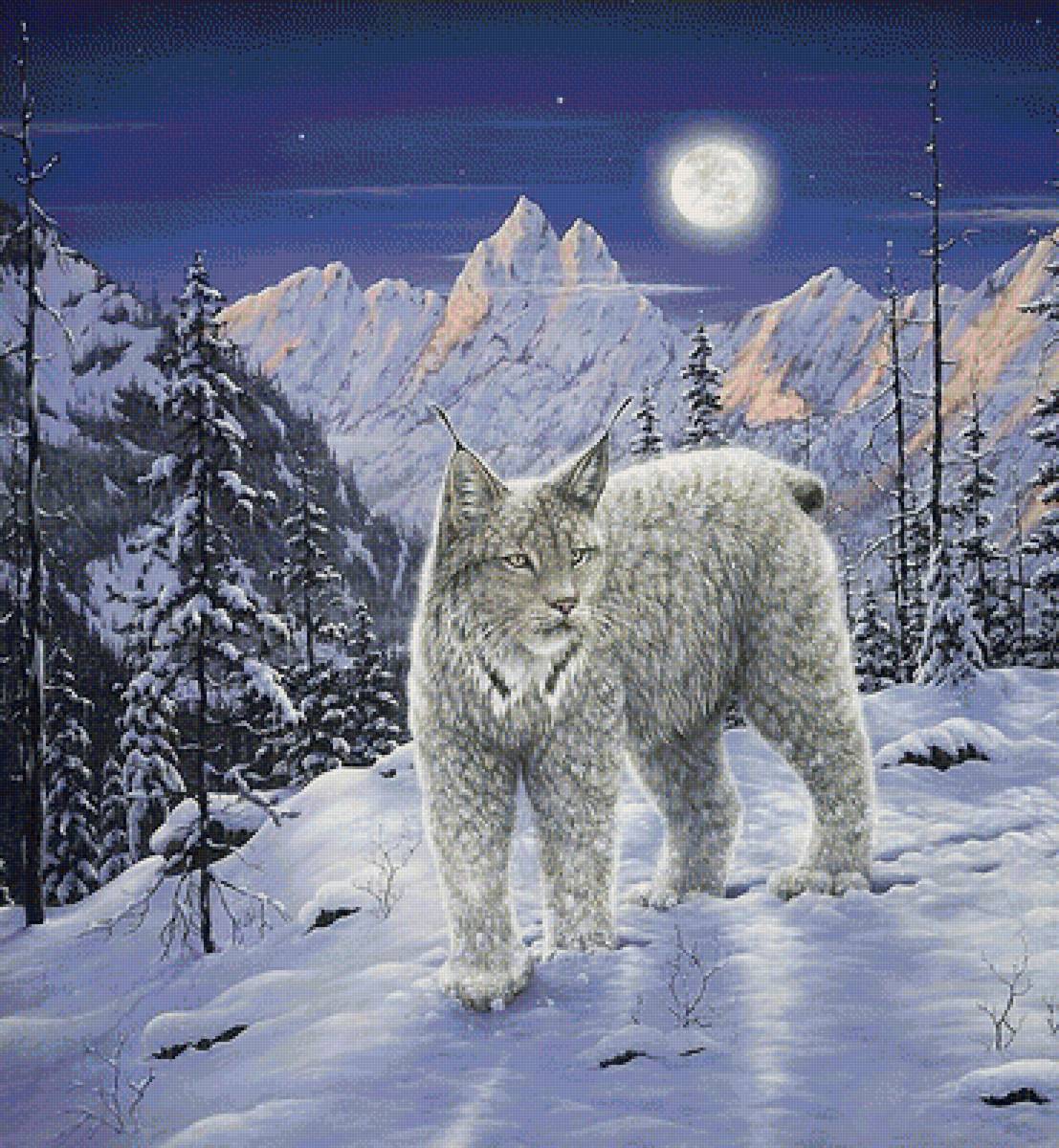 мир животных - мир животных - предпросмотр