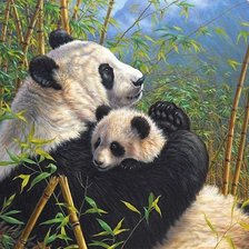 мир животных