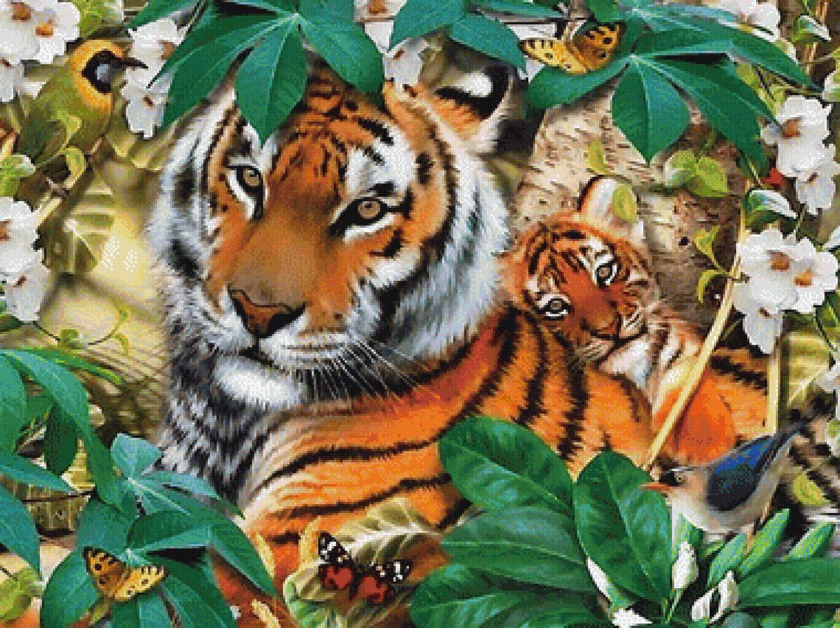 тигры - мир животных - предпросмотр