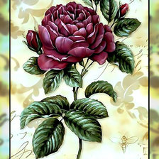 Схема вышивки «Роза. Винтаж2.»