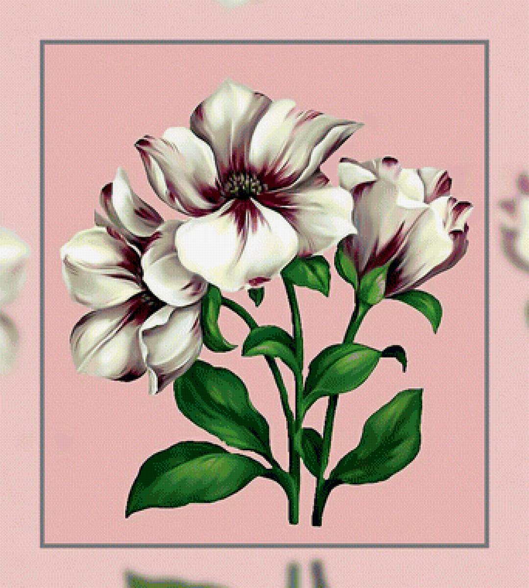 Цветы. - цветы. - предпросмотр