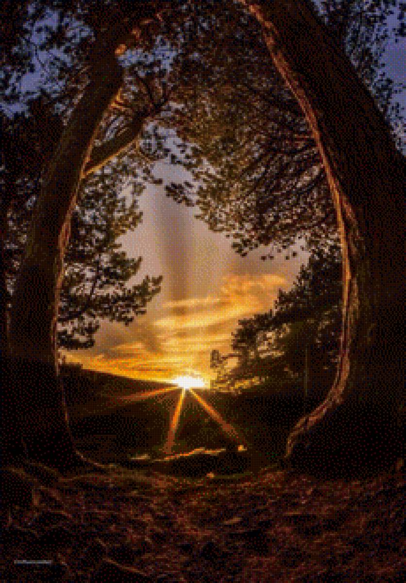 закат - лето, закат, лес - предпросмотр