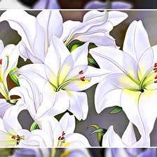 Схема вышивки «Белые лилии.»