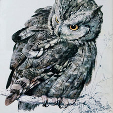 Схема вышивки «Сова»