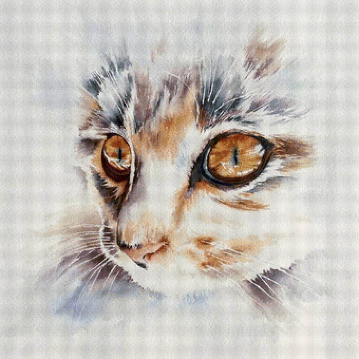 Котик - кошка - предпросмотр