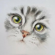 Схема вышивки «Котик»