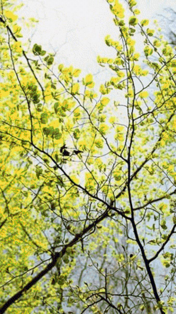 Зелень - предпросмотр