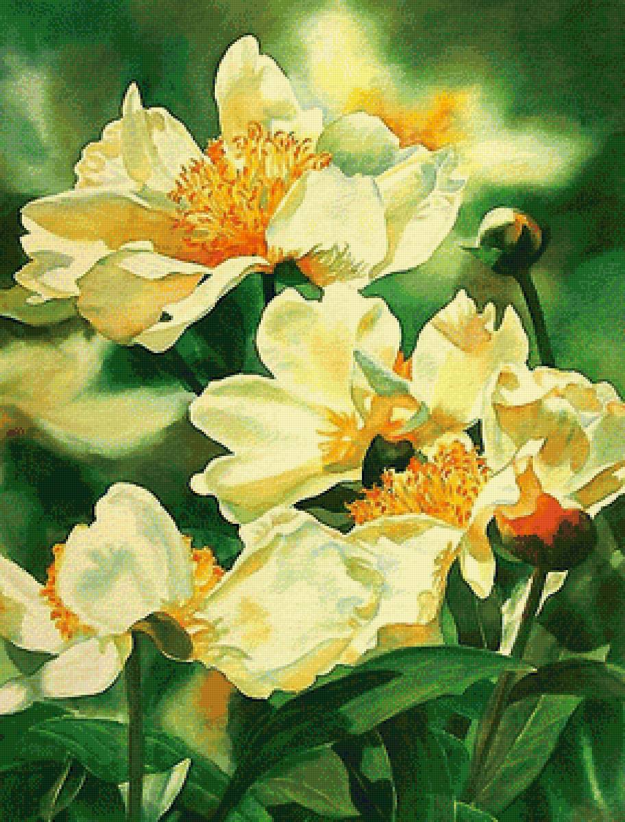 акварель - предпросмотр