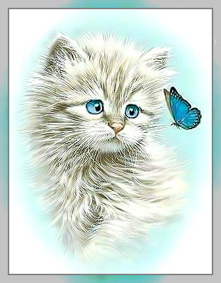 Котик с бабочкой. - котенок, бабочка. - оригинал