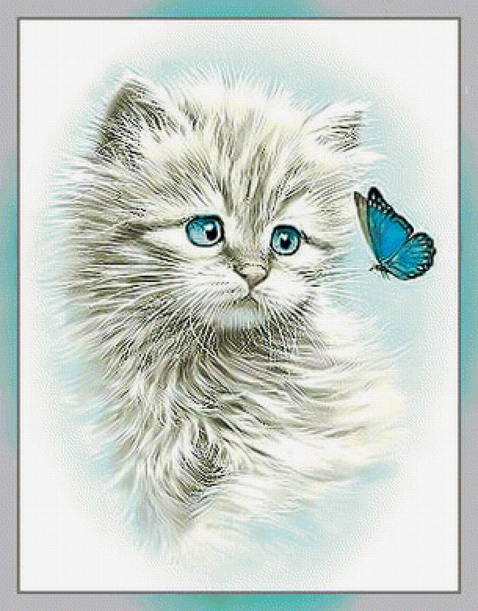 Котик с бабочкой. - котенок, бабочка. - предпросмотр