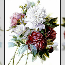 Схема вышивки «Пионы. Живопись.»