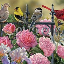 Схема вышивки «Птици»