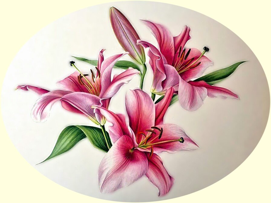 Розовая лилия. - цветок, лилия, букет. - оригинал
