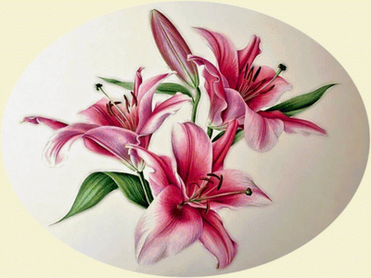 Розовая лилия. - лилия, букет., цветок - предпросмотр