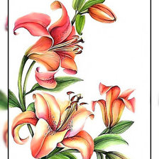 Схема вышивки «Лилия.»