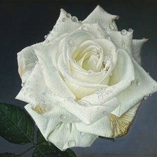 Схема вышивки «розы»