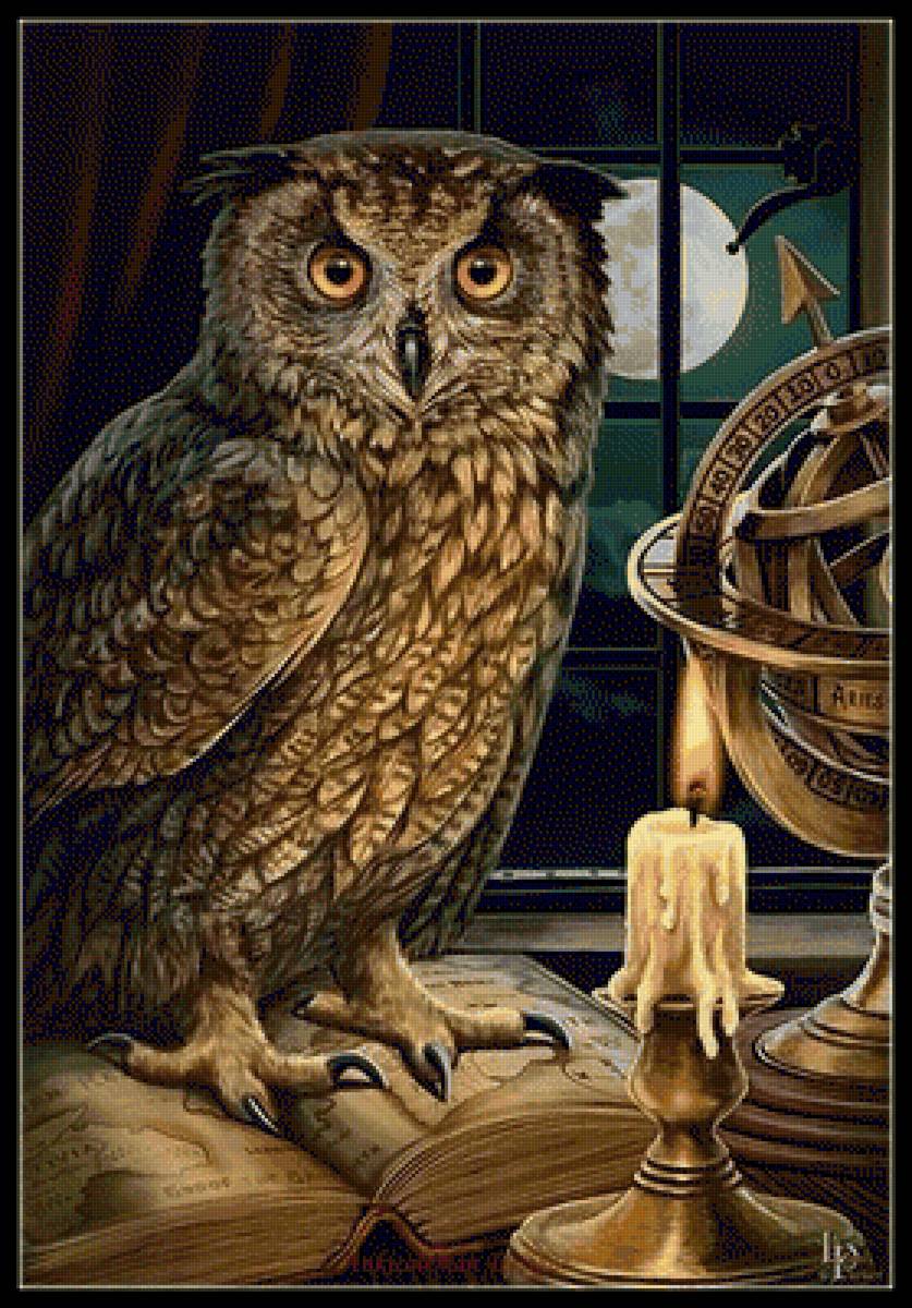 peleda - vita.s - предпросмотр