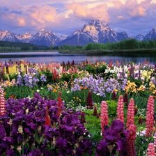 Схема вышивки «Планинско езеро»