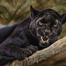 Схема вышивки «ЧЕРНАЯ ПАНТЕРА»