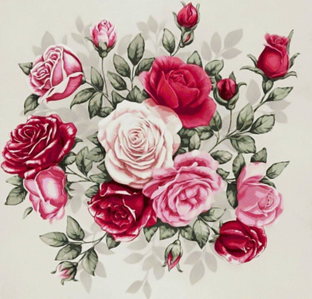 Розовый букет. - букет, цветы, розы. - предпросмотр