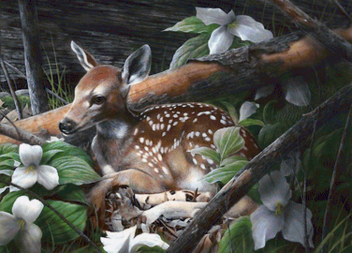 мир животных - мир животных - предпросмотр