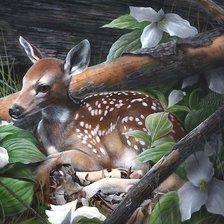 Схема вышивки «мир животных»