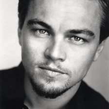 Схема вышивки «Лео Ди Каприо»