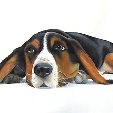 Схема вышивки «собака»