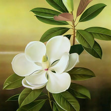 Схема вышивки «Магнолия.»