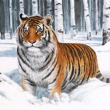 Схема вышивки «тигр»