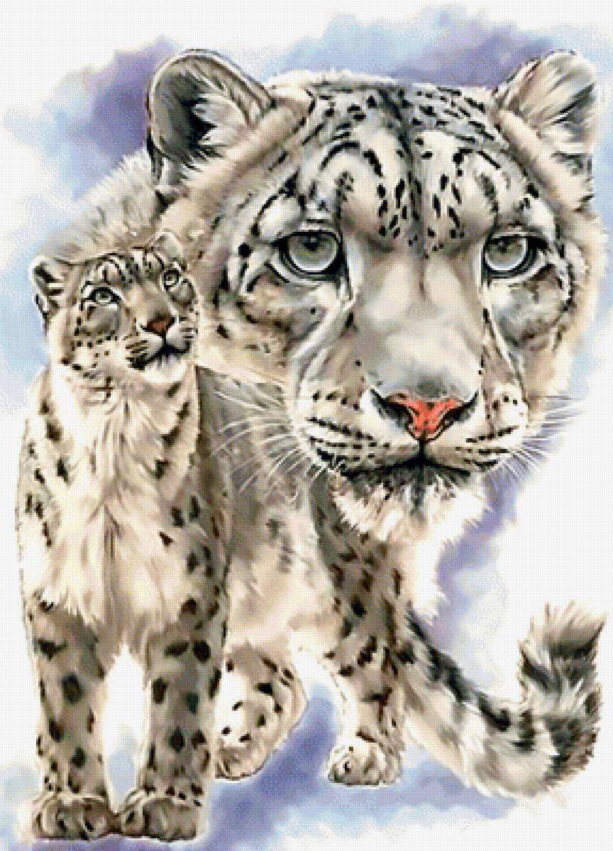 Снежные барсы. - барс., большая, хищник, животные, снежный, кошка - предпросмотр