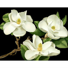 Схема вышивки «Белая магнолия.»