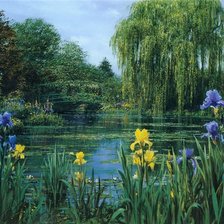 ИРИСЫ У ОЗЕРА