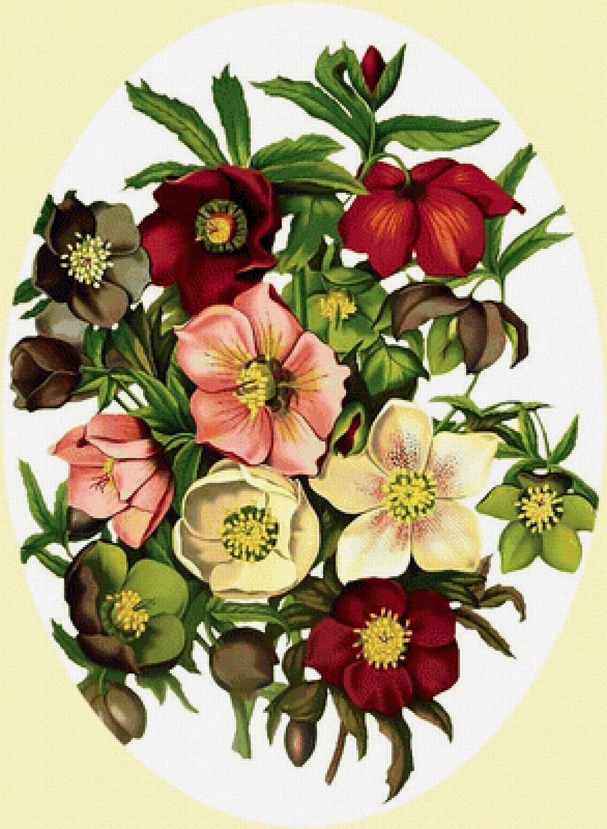 Цветочки. - цветы, букет. - предпросмотр
