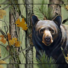 Схема вышивки «Мишка в осеннем лесу.»