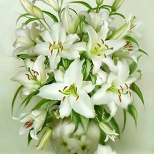 Схема вышивки «Белые лилии.»