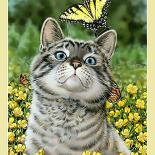 Схема вышивки «Котик и бабочка.»
