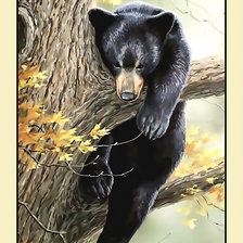 Схема вышивки «Мишка на дереве.»