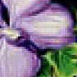 Предпросмотр схемы вышивки «Полевые цветы.» (№1953957)