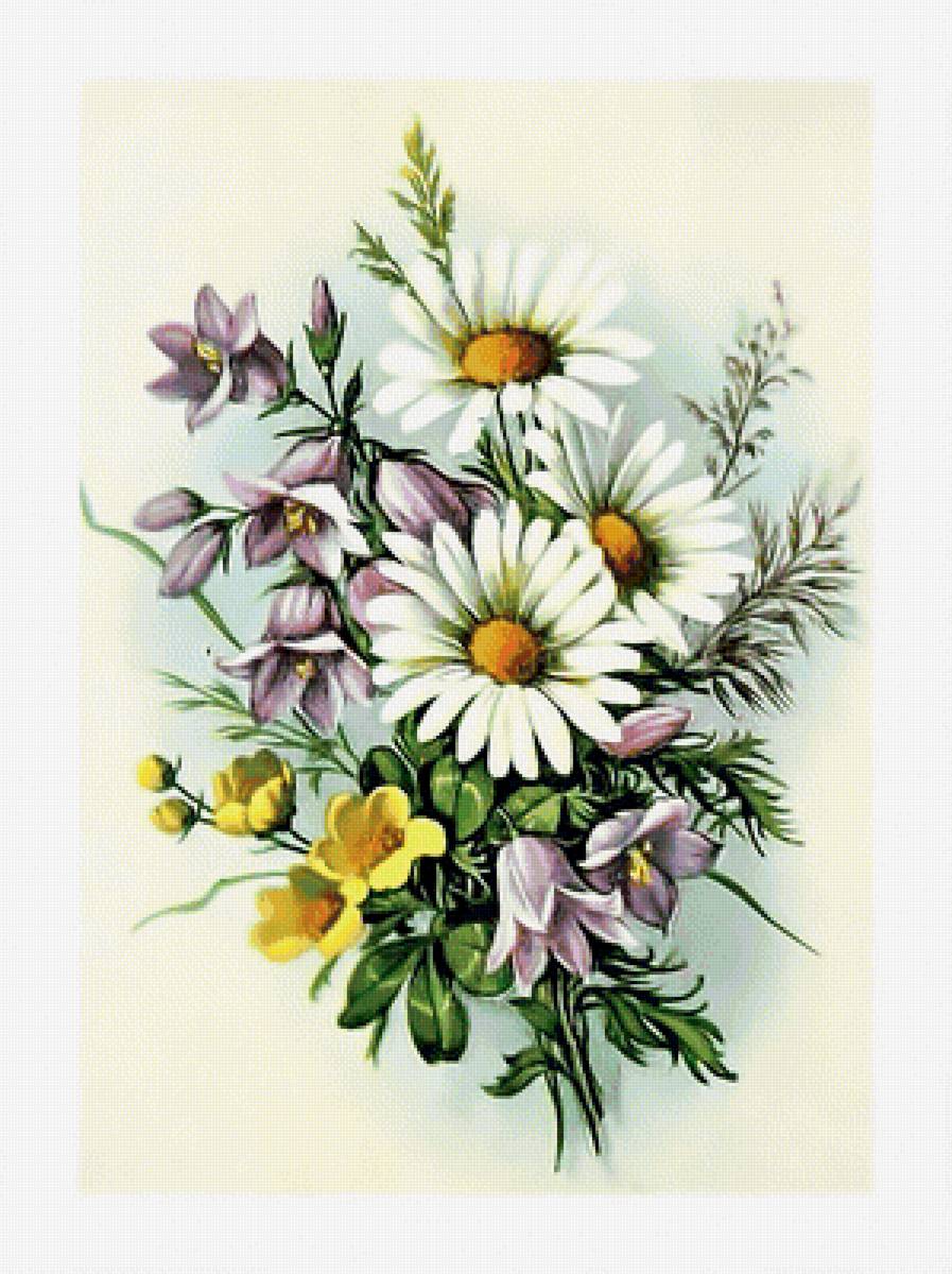 Букетик полевых цветов. - цветы, букет, ромашки, колокольчики. - предпросмотр